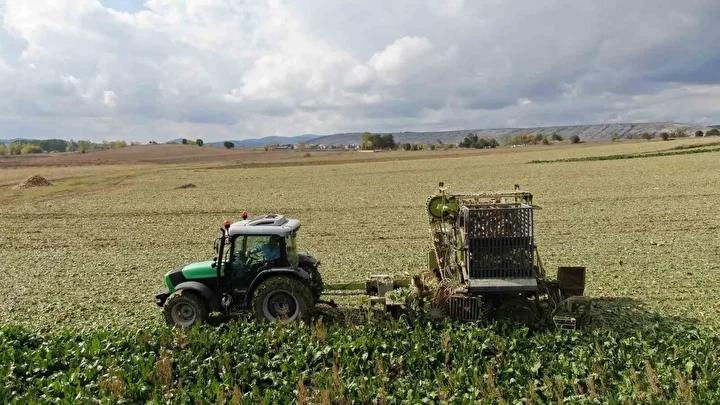 Kastamonu’da Pancar Hasadı ve Verimlilik Yükselişi 3 Pancar Üretiminde Başarı Hikayesi: Seydiler’den Bir Örnek