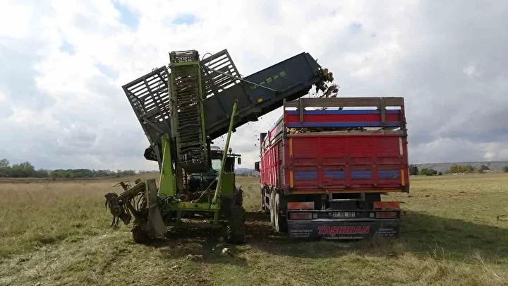 Kastamonu’da Pancar Hasadı ve Verimlilik Yükselişi 4 Kastamonu’da Pancar Hasadı ve Verimlilik Yükselişi