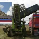 Kastamonuda Pancar Hasadi ve Verimlilik Yukselisi