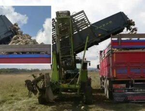 Kastamonu’da Pancar Hasadı ve Verimlilik Yükselişi