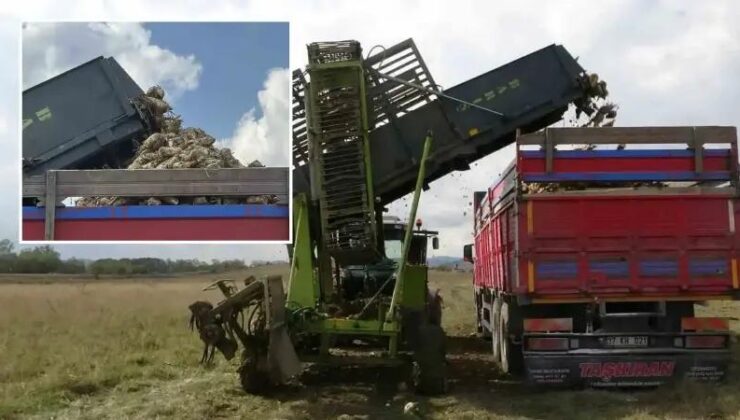 Kastamonu’da Pancar Hasadı ve Verimlilik Yükselişi