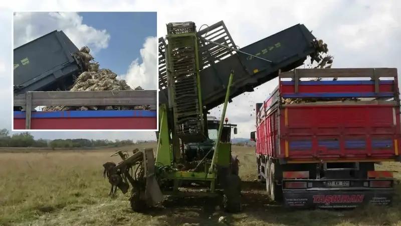 Kastamonu’da Pancar Hasadı ve Verimlilik Yükselişi