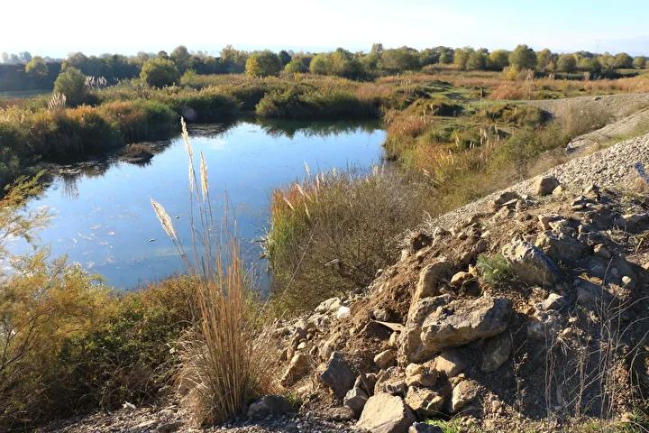 Kazada Kontrolden Çıkan Otomobil Gölete Uçtu - Bir Yaralı Hastaneye Kaldırıldı
