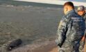 Kazakistan Hazar Denizi’nde Ölü Foklar Şaşırttı: Nedenleri Araştırılıyor