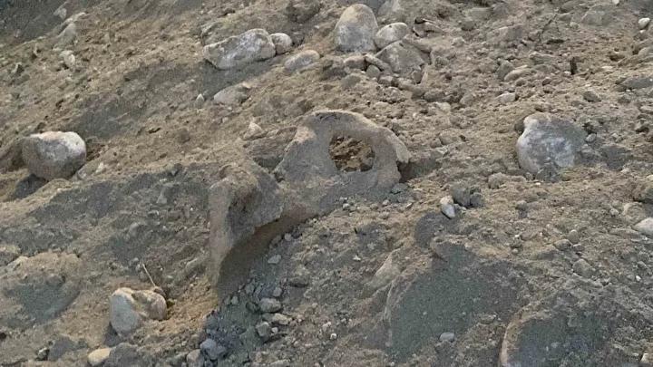 Kazı Çalışması Sırasında Eski Mezarların Kemikleri Gün yüzüne Çıktı