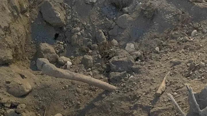 Kazı Çalışması Sırasında Eski Mezarların Kemikleri Gün yüzüne Çıktı