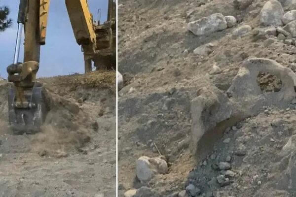 Kazı Çalışması Sırasında Eski Mezarların Kemikleri Gün yüzüne Çıktı