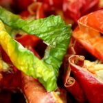 Kis Aylarinda Guclu Bagisiklik Icin Beslenme ve Yasam Tarzi Yontemleri