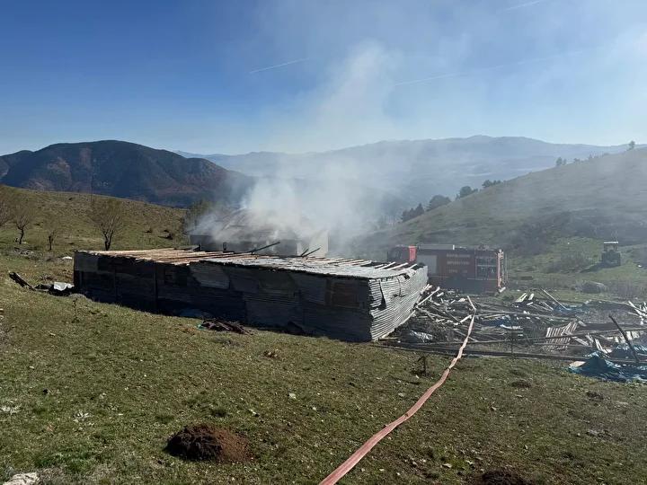 Koşoluk Yaylasında Müstakil Evde Yangın Çıktı, Kayıplar Yaşandı