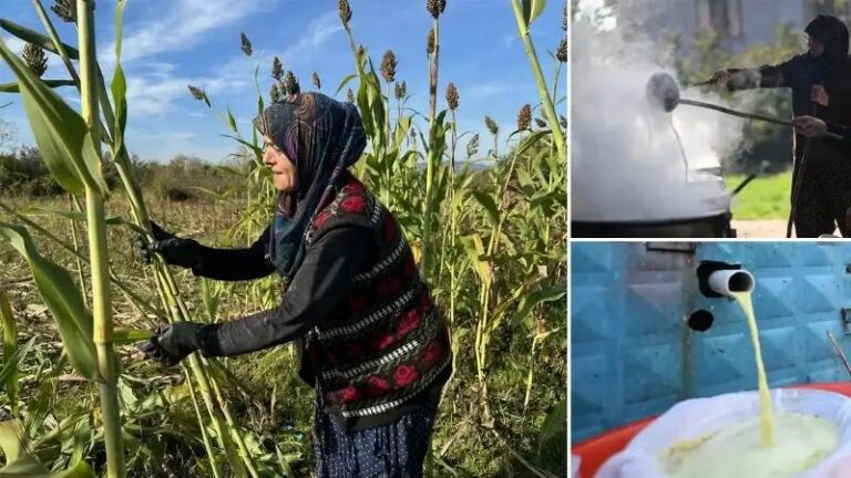 Kucuk Ciftcinin Dogal Seker Kamisi Pekmezi Seruveni