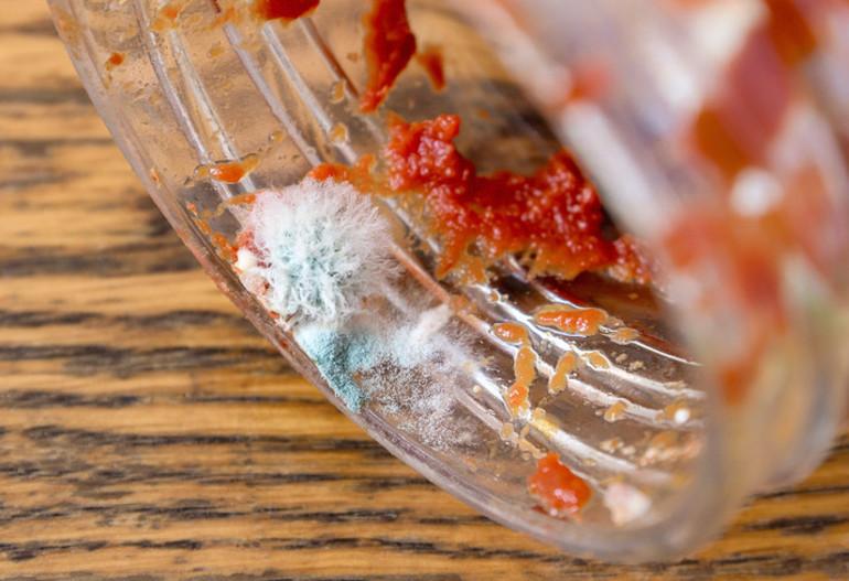 Küf ve Bozuk Gıdalar: Güvenli Tüketim ve Uyarılar