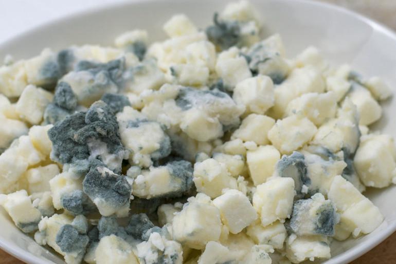 Elma, Armut ve Diğer Meyvelerdeki Küf Riski