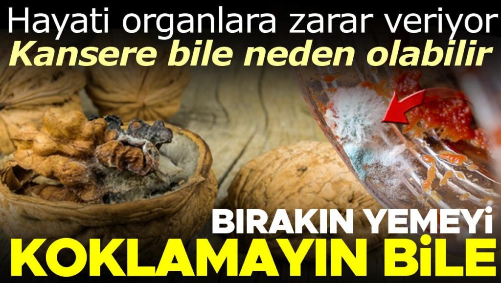 Küf ve Bozuk Gıdalar: Güvenli Tüketim ve Uyarılar