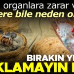 Kuf ve Bozuk Gidalar Guvenli Tuketim ve Uyarilar