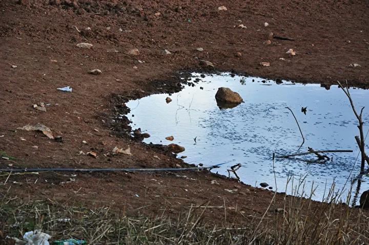 Kuraklıkla Mücadele Edilen Sülüklü Göl'de Su Seviyesi Krizi