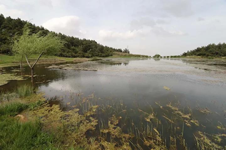 Kuraklıkla Mücadele Edilen Sülüklü Göl'de Su Seviyesi Krizi
