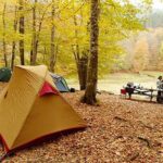 Kuresel Olcekte Insanlarin Doga Bagini Anlamak Uzerine Derinlemesine Bir Arastirma