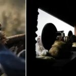 Lescil Kus Gozlem ve Fotografcilik Noktasi Rehberi