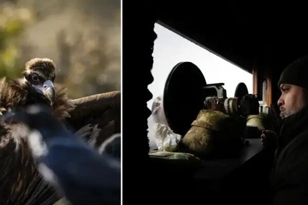 Leşçil Kuş Gözlem ve Fotoğrafçılık Noktası Rehberi