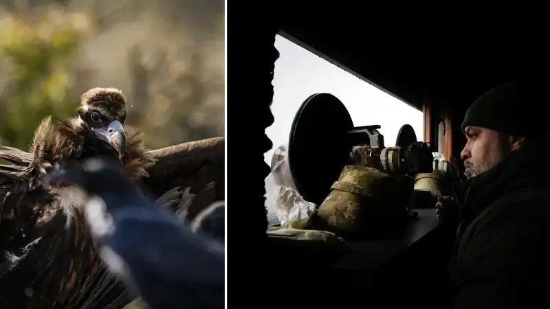 Leşçil Kuş Gözlem ve Fotoğrafçılık Noktası Rehberi