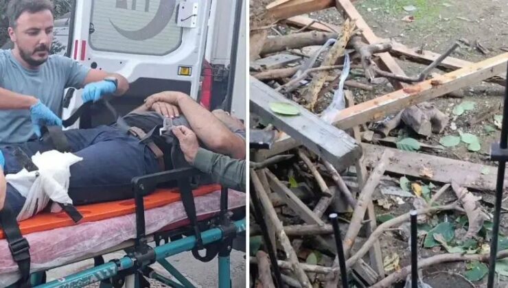 Manavgat’ta Bacağına Demir Sapan Kurtarma Çabasıyla Sağlamlaştırıldı