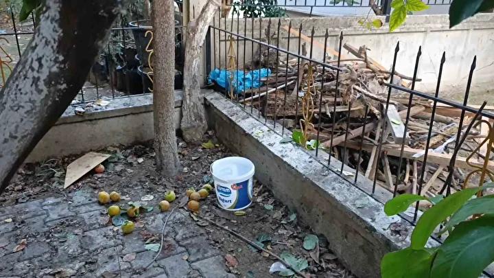 Manavgatta Bacagina Demir Sapan Kurtarma Cabasiyla Saglamlastirildi