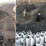 Mersin8217in Mese Komuru Uretiminde Yuzyillik Gelenek ve Zorluklar