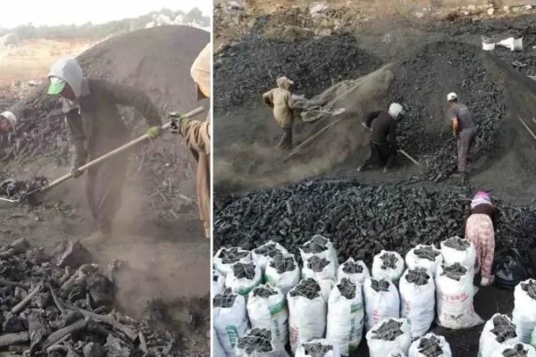 Mersin’in Meşe Kömürü Üretiminde Yüzyıllık Gelenek ve Zorluklar