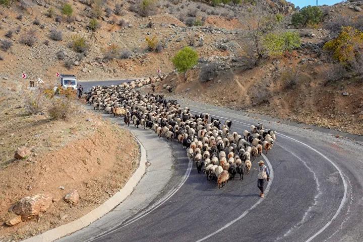 Mevsim Gecisiyle Goc Yolu Hikayeleri ve Zorluklar Mevsim Gecisiyle Goc Yolu Hikayeleri ve Zorluklar