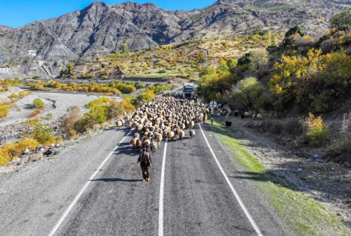 Mevsim Gecisiyle Goc Yolu Hikayeleri ve Zorluklar Mevsim Gecisiyle Goc Yolu Hikayeleri ve Zorluklar