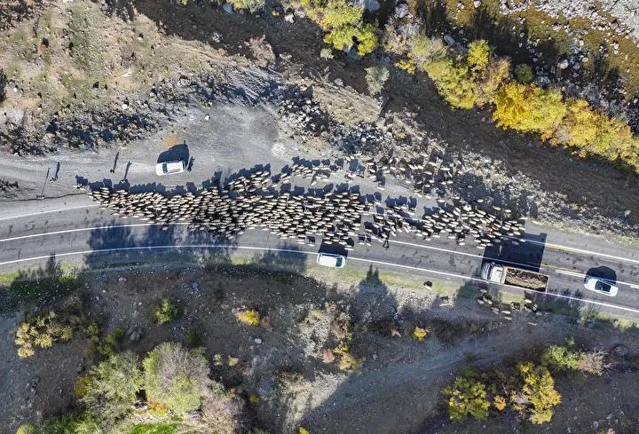 Mevsim Gecisiyle Goc Yolu Hikayeleri ve Zorluklar Mevsim Gecisiyle Goc Yolu Hikayeleri ve Zorluklar