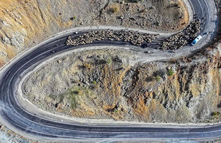 Mevsim Gecisiyle Goc Yolu Hikayeleri ve Zorluklar Mevsim Gecisiyle Goc Yolu Hikayeleri ve Zorluklar