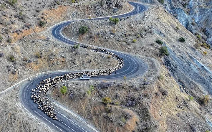 Mevsim Gecisiyle Goc Yolu Hikayeleri ve Zorluklar Mevsim Gecisiyle Goc Yolu Hikayeleri ve Zorluklar