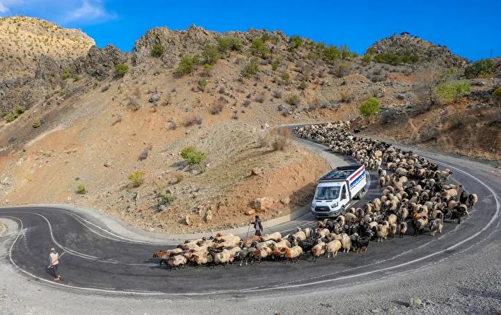 Mevsim Gecisiyle Goc Yolu Hikayeleri ve Zorluklar Mevsim Gecisiyle Goc Yolu Hikayeleri ve Zorluklar