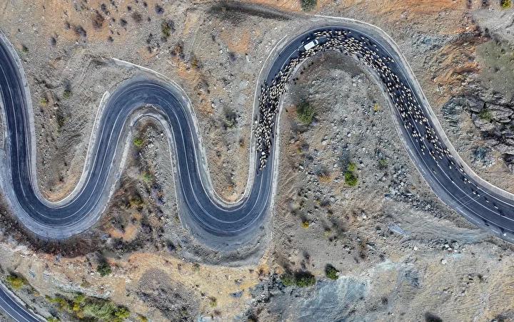Mevsim Gecisiyle Goc Yolu Hikayeleri ve Zorluklar Mevsim Gecisiyle Goc Yolu Hikayeleri ve Zorluklar