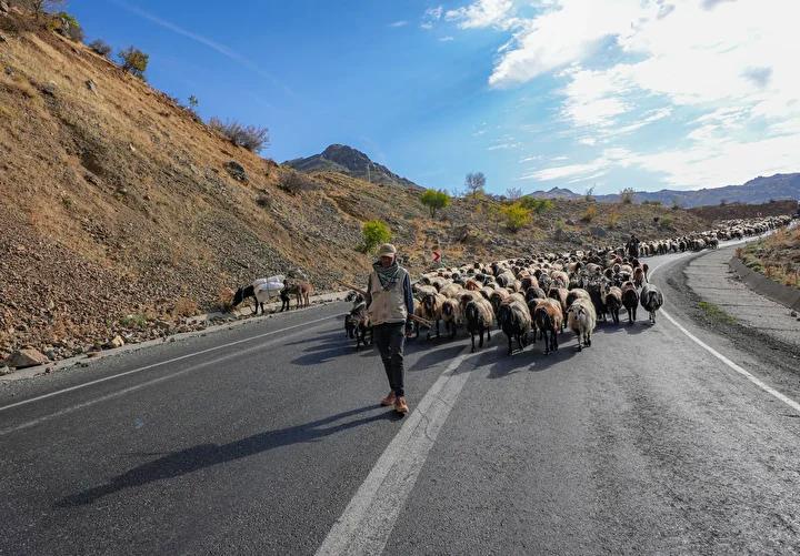 Mevsim Gecisiyle Goc Yolu Hikayeleri ve Zorluklar Mevsim Gecisiyle Goc Yolu Hikayeleri ve Zorluklar