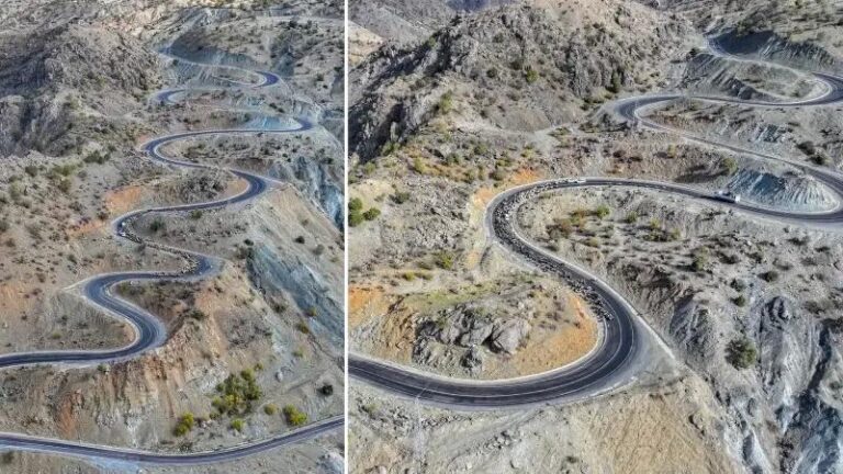 Mevsim Gecisiyle Goc Yolu Hikayeleri ve Zorluklar