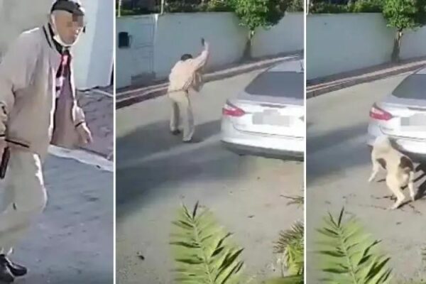 Mustafa K.’nin Köpek Silahıyla Yaraladığı Davada Çarpıcı Detaylar