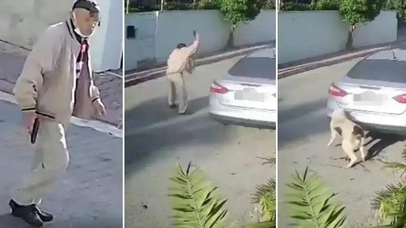 Mustafa K.’nin Köpek Silahıyla Yaraladığı Davada Çarpıcı Detaylar