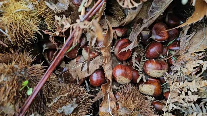 Protokolden Moral ve Destek Mesajları