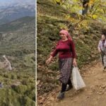 Nazilli8217de Kestane Hasadi Coskusu ve Protokol Destegiyle Zor Gunler Asiliyor