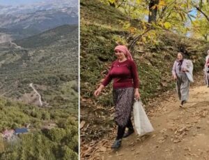 Nazilli’de Kestane Hasadı Coşkusu ve Protokol Desteğiyle Zor Günler Aşılıyor