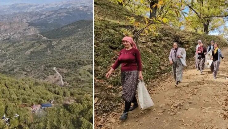 Nazilli’de Kestane Hasadı Coşkusu ve Protokol Desteğiyle Zor Günler Aşılıyor