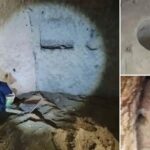 Nevsehirde Kacak Kazi Operasyonu Eski Sehre Isik Tutabilecek Bulgular Ele Gecirildi