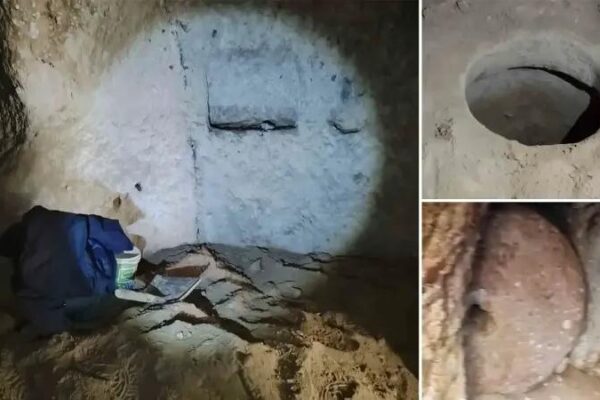 Nevşehir’de Kaçak Kazı Operasyonu: Eski Şehre Işık Tutabilecek Bulgular Ele Geçirildi