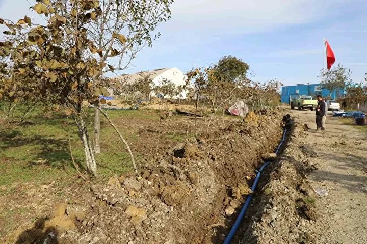 Teknolojinin Fındık Tarımına Getirdiği Yenilik