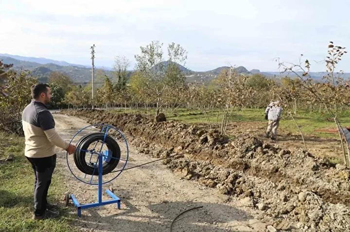 Teknolojinin Fındık Tarımına Getirdiği Yenilik