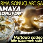 Peynir Tuketimi ve Demans Riski Arasindaki Ilginc Baglanti