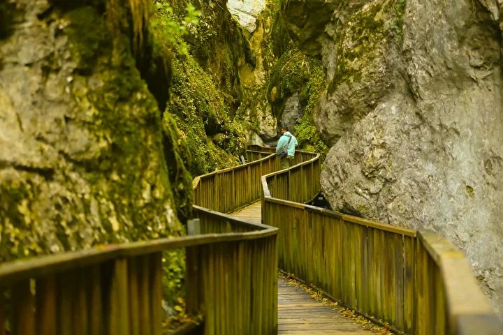 Pinarbasi Horma Kanyonunun Buyuleyici Sonbahar Manzaralari