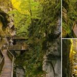 Pinarbasi Horma Kanyonu8217nun Buyuleyici Sonbahar Manzaralari